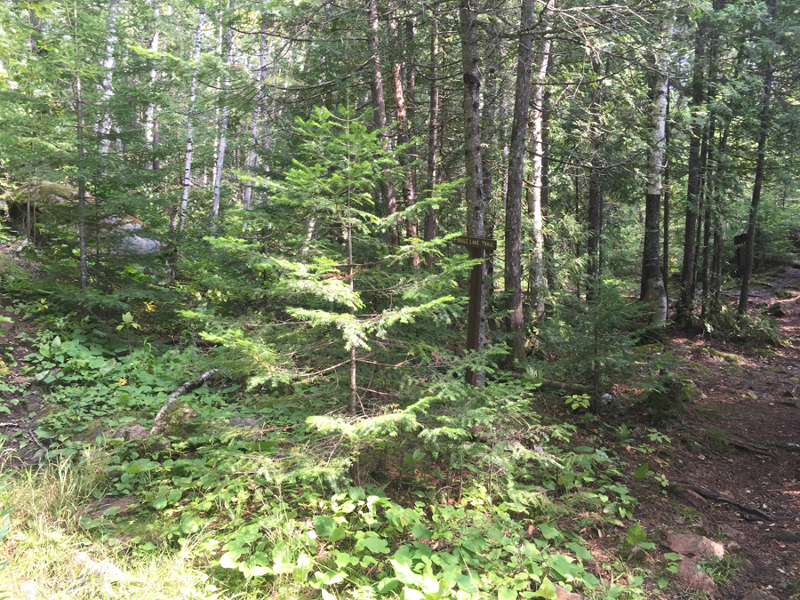 Brule Lake Trail BWCA